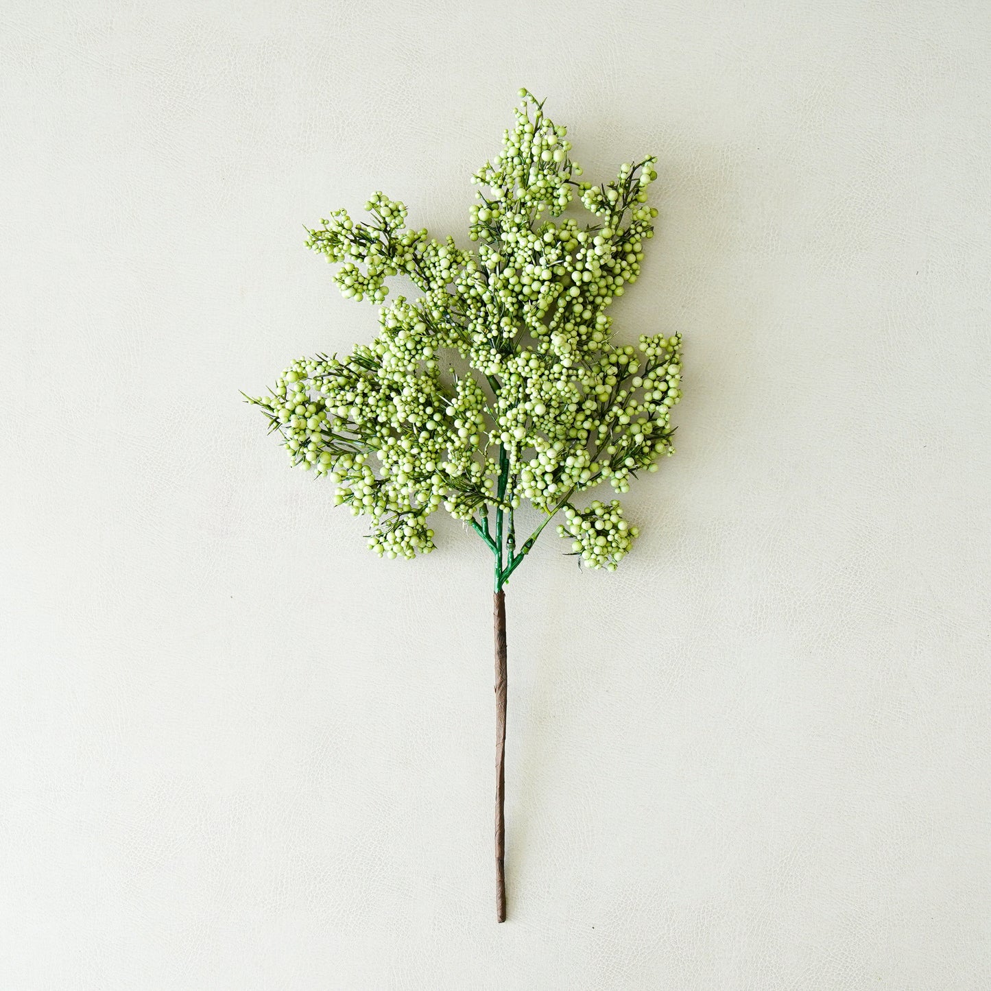 Artificial greenery branch on a plain background