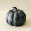 Black pumpkin on a beige background