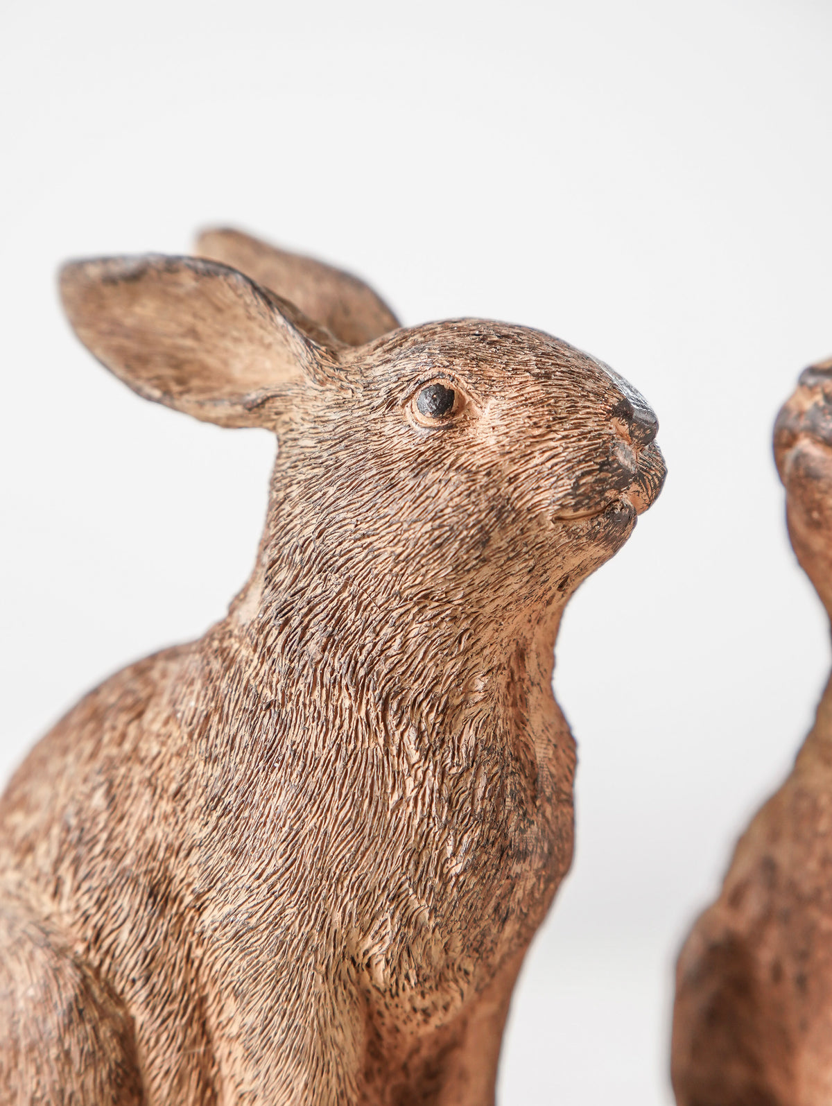 Woodland Rabbit Duo
