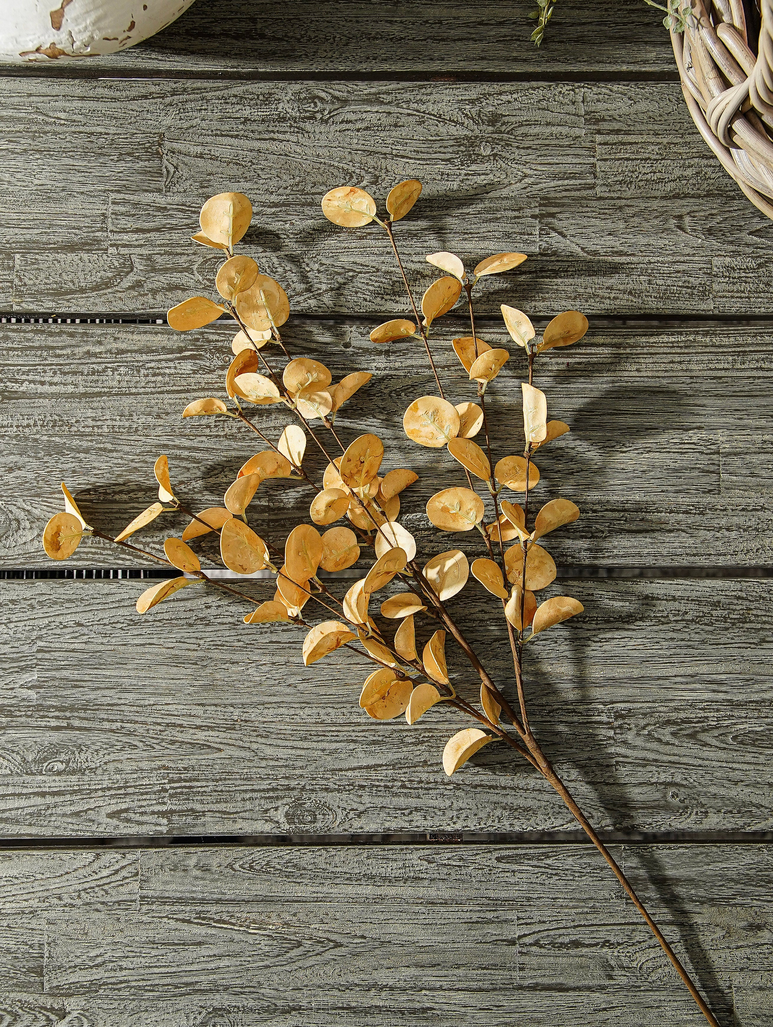 Golden Wheat Eucalyptus Stem
