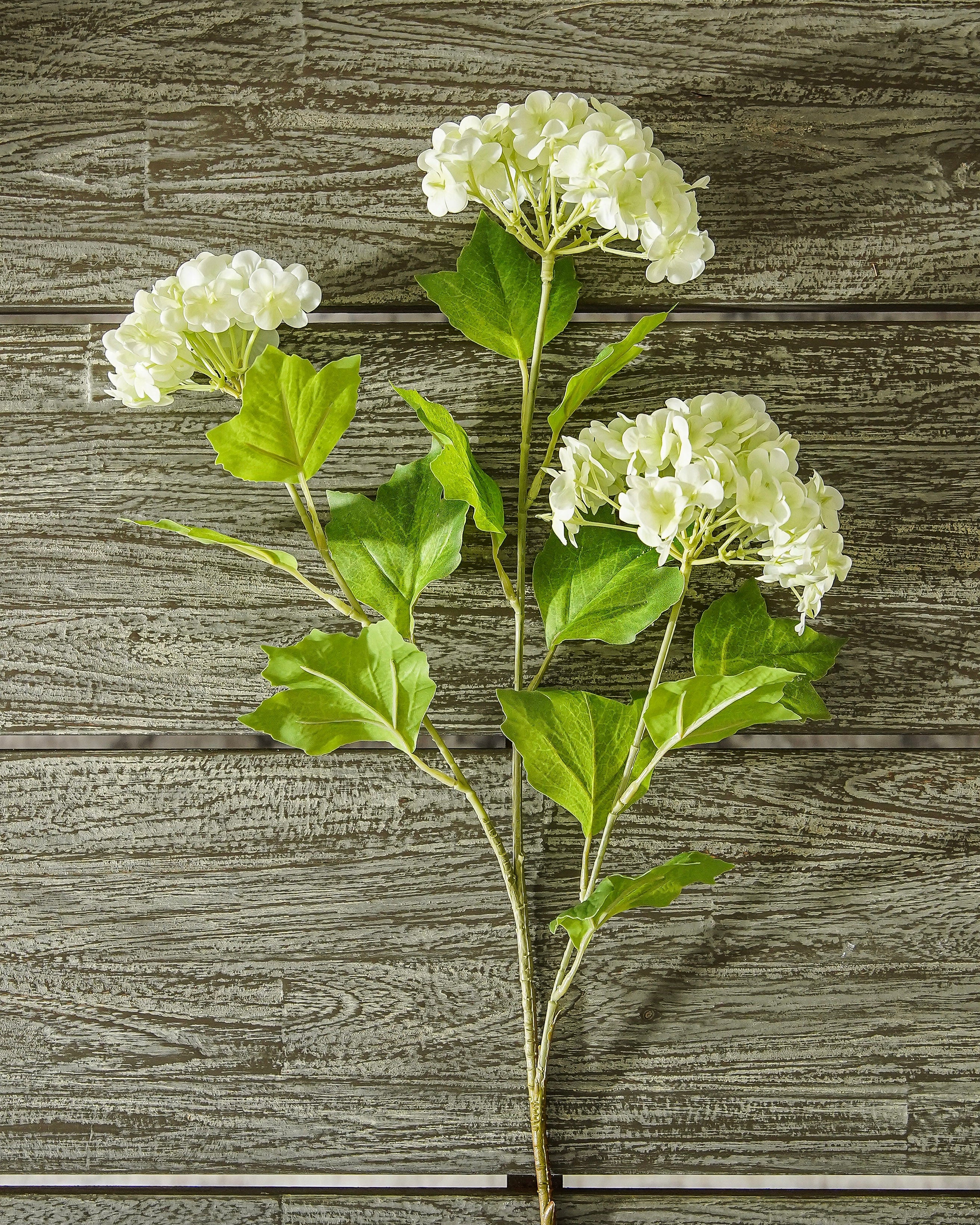 Real Touch Spring Green Snowball Hydrangea