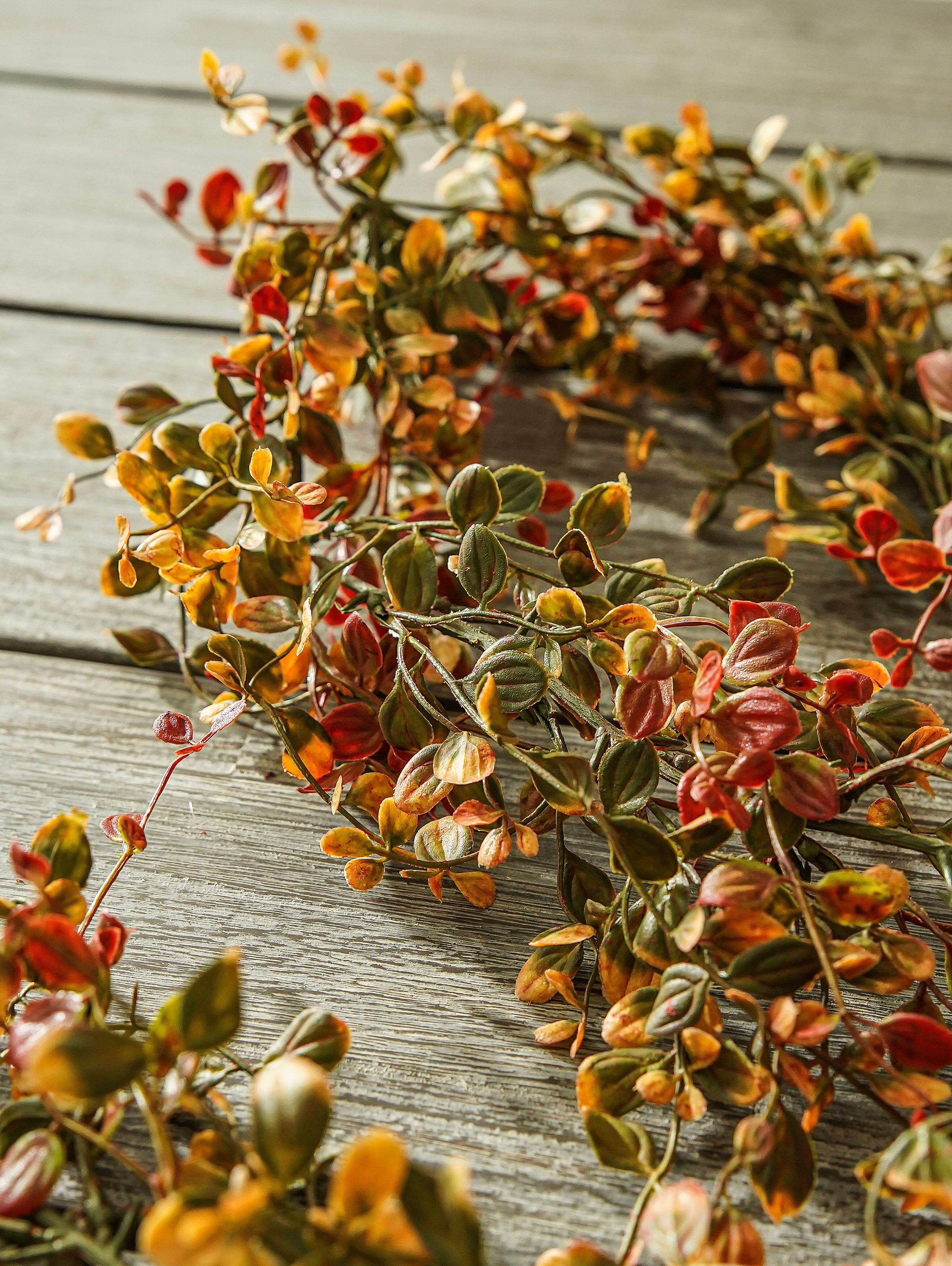 Pimpernel Garland
