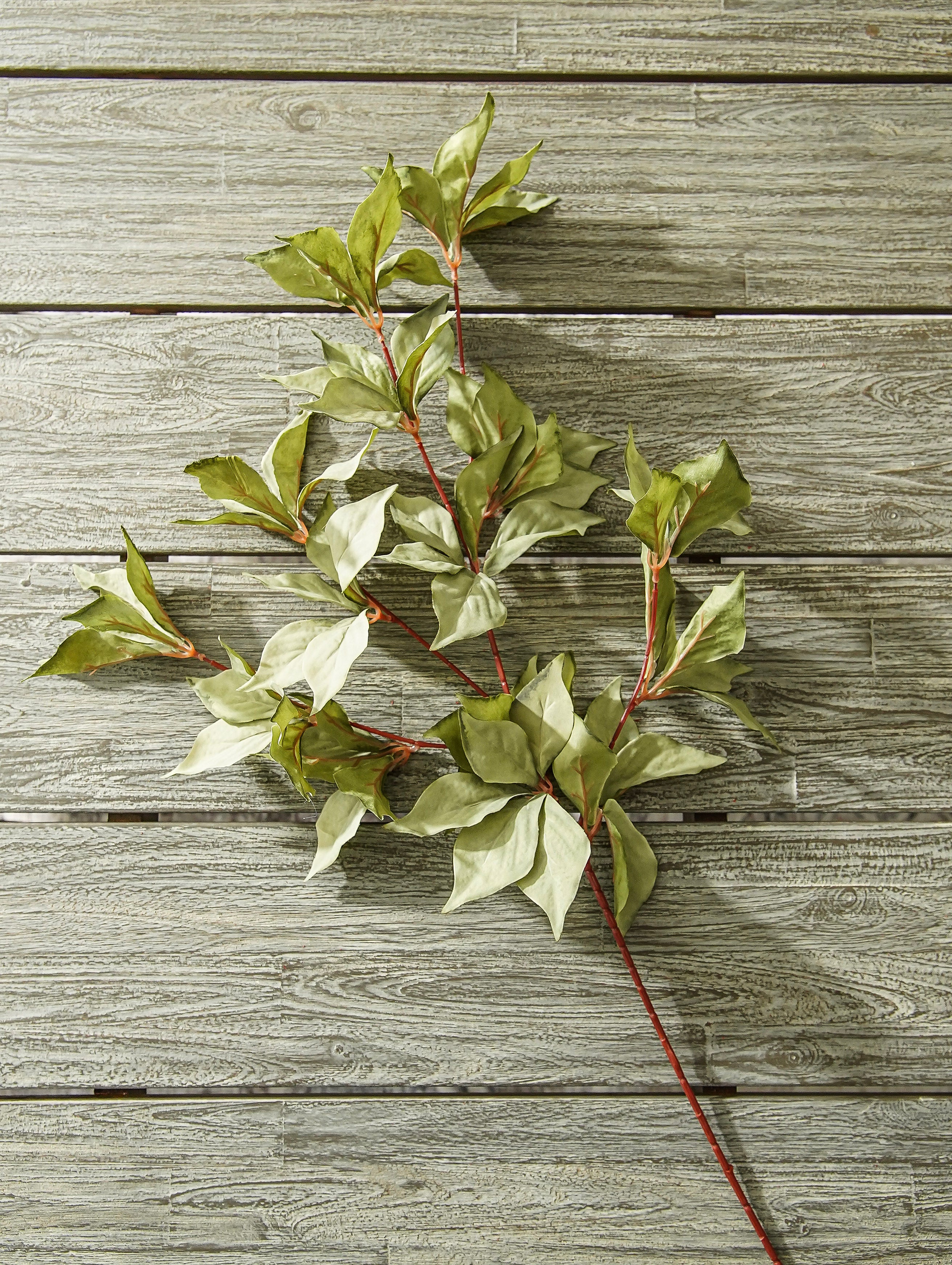 Muted Sage Leafy Stem