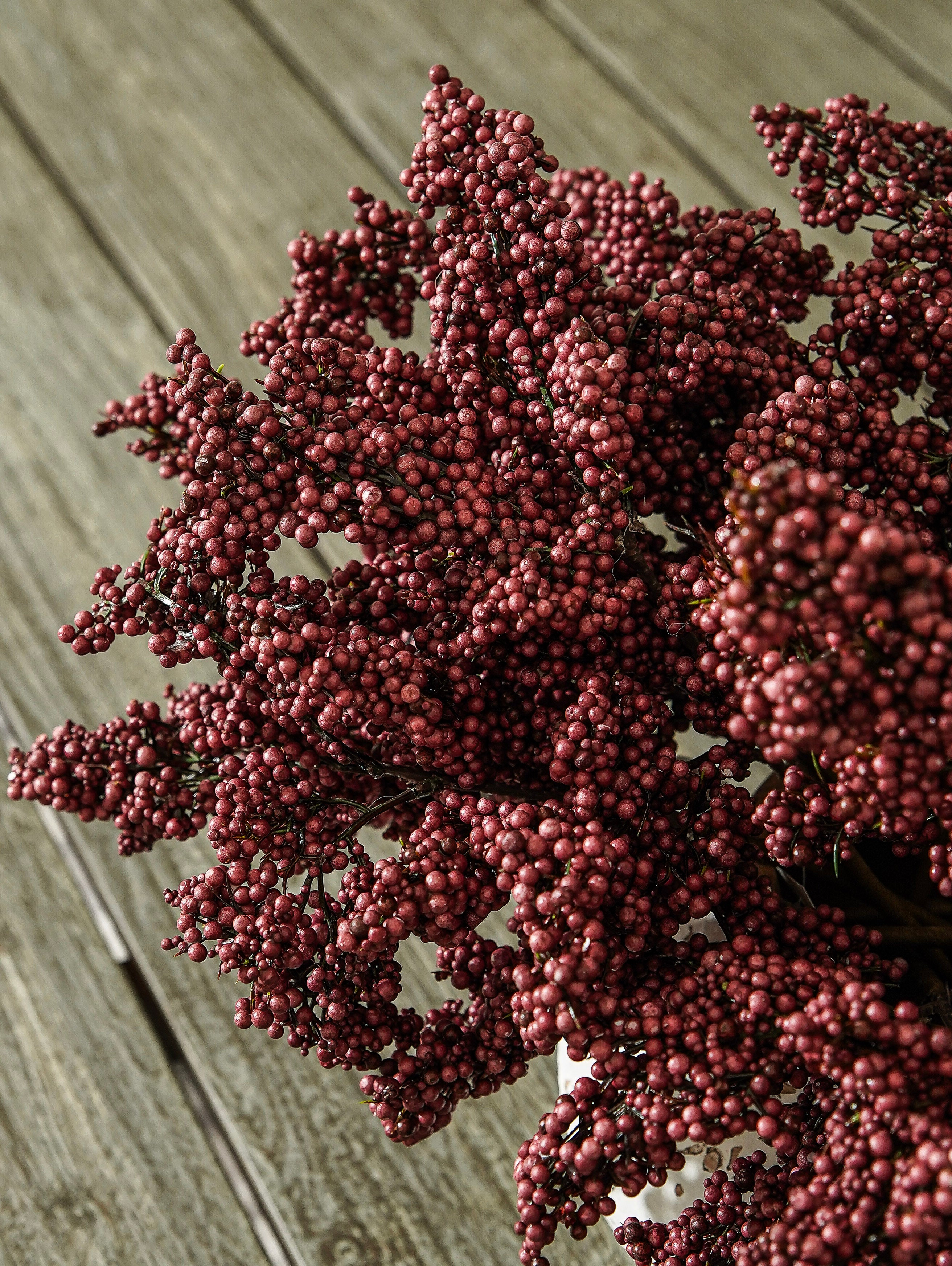 Muted Merlot Berry Stem