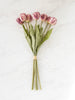 Dried-Look Mauve Tulip Bunch