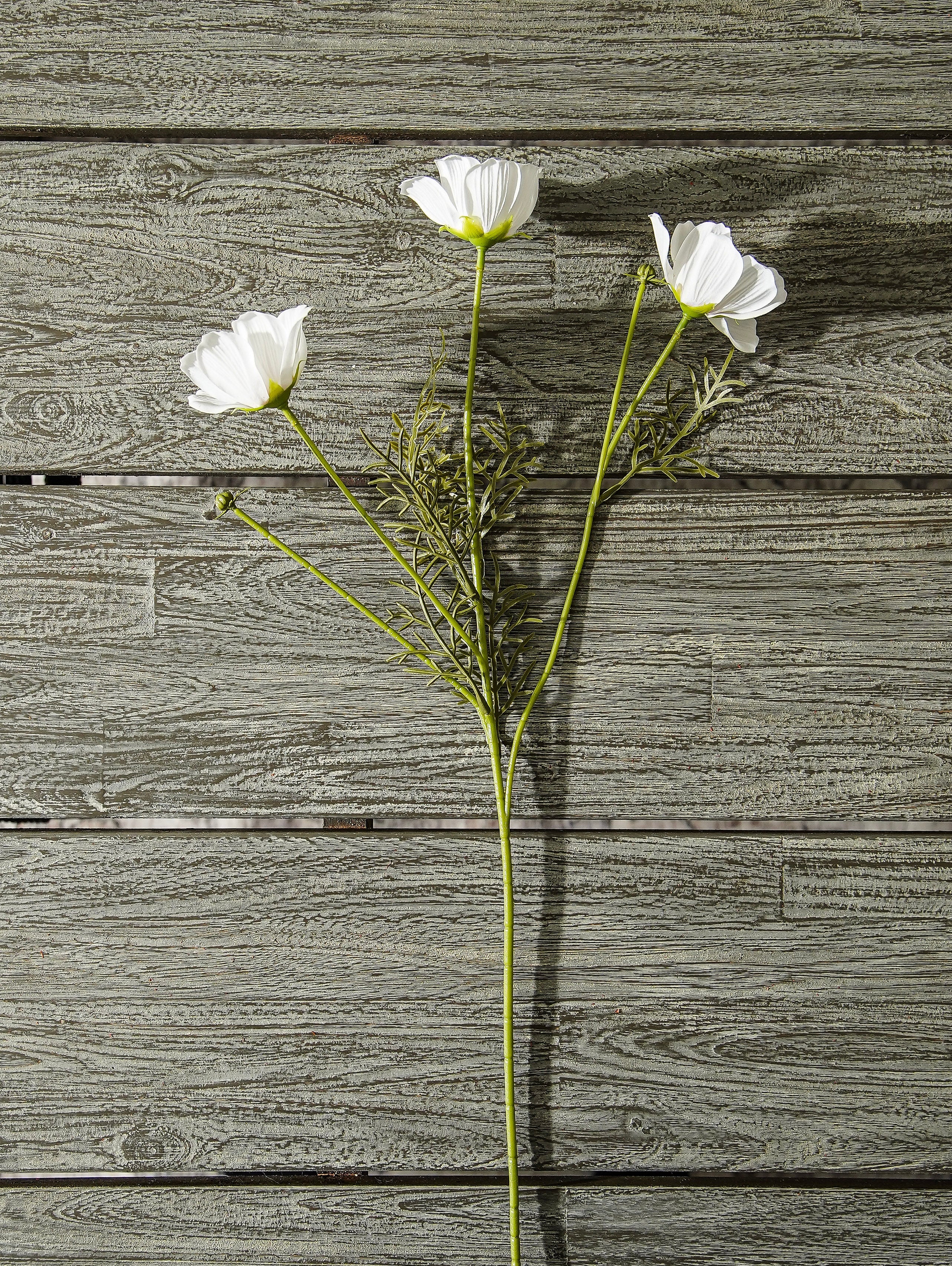 Morning Meadow Styled Look