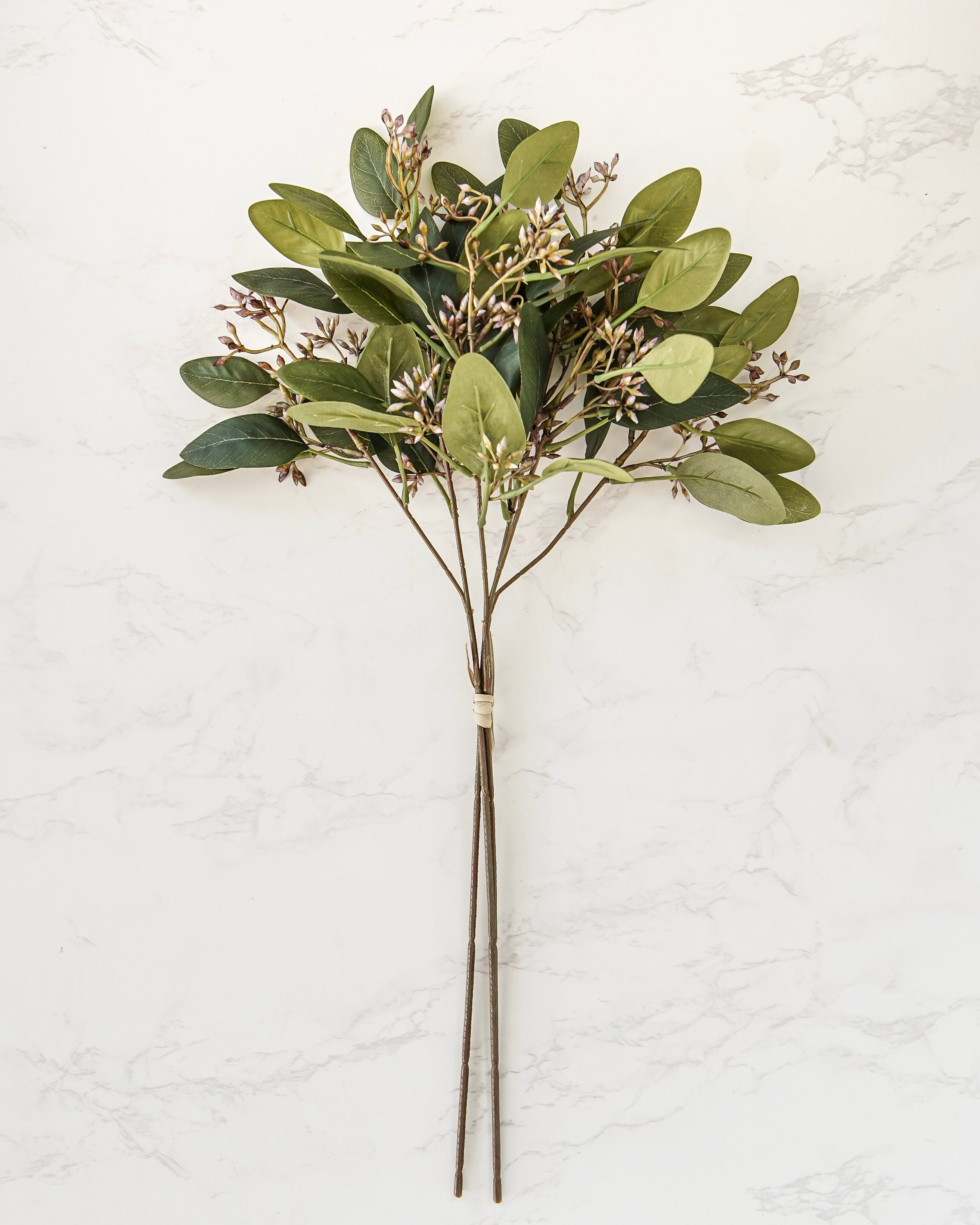 Eucalyptus Berry Bundle