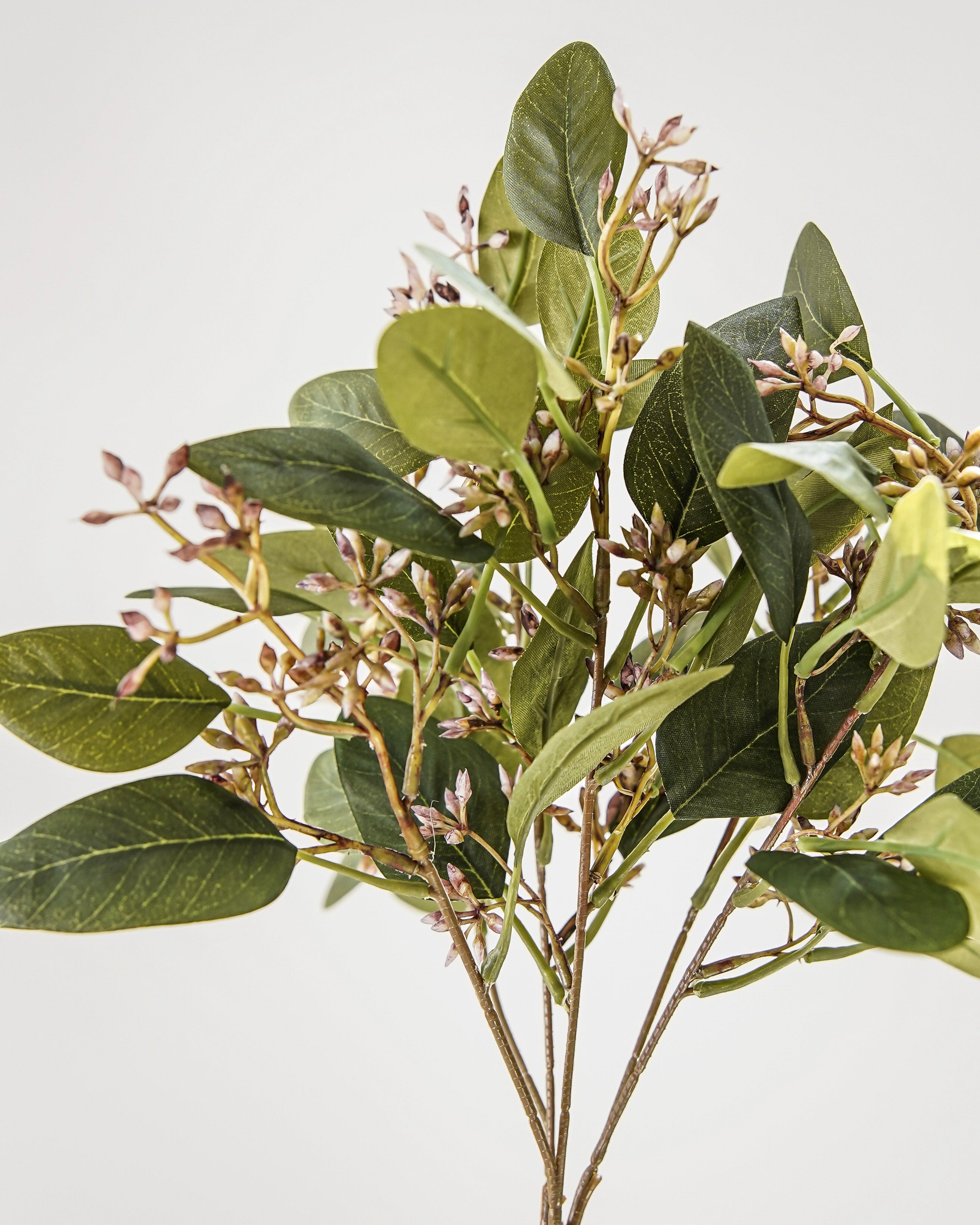 Eucalyptus Berry Bundle