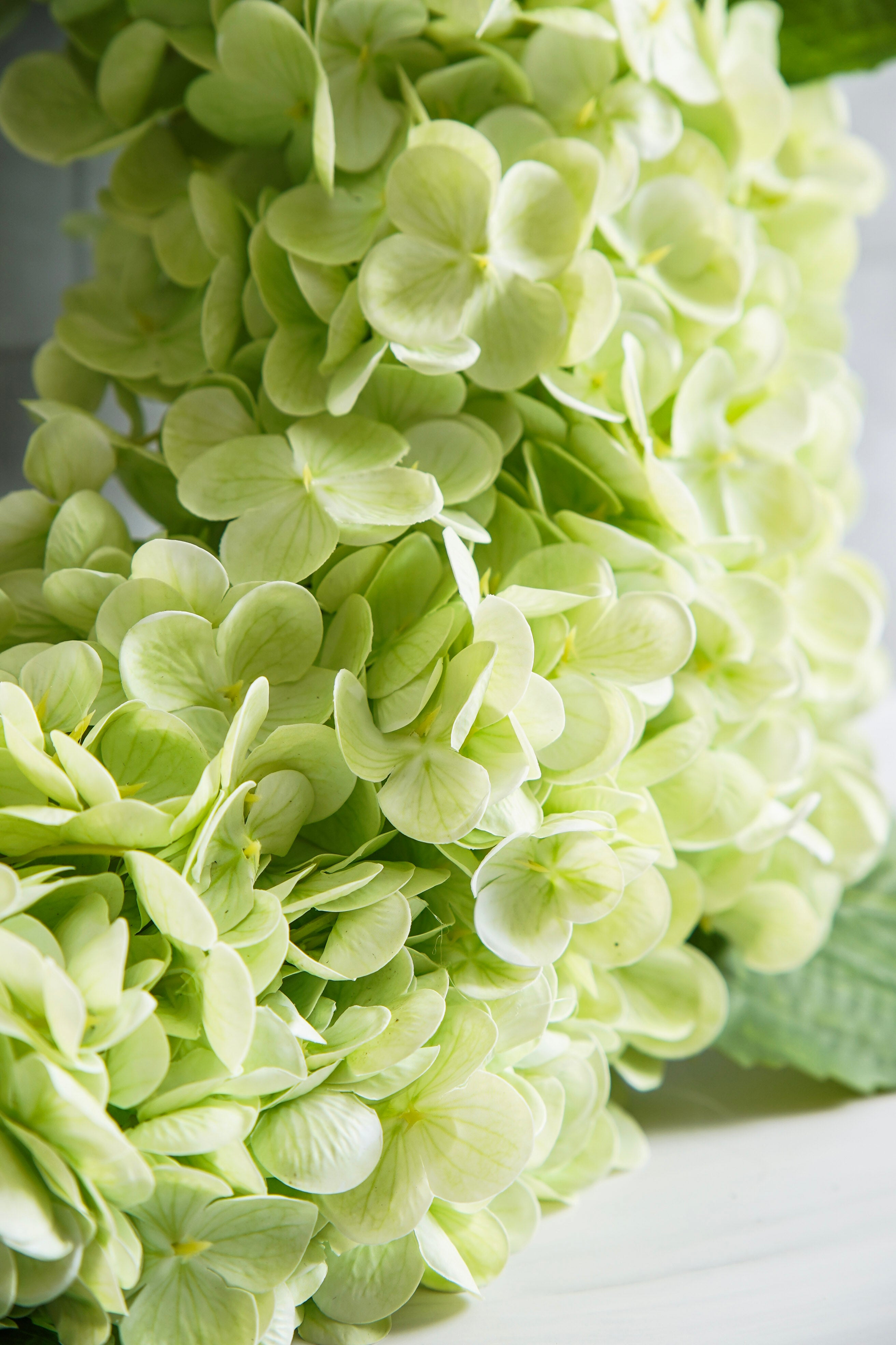 Real Touch Hydrangea Wreath | Spring Green