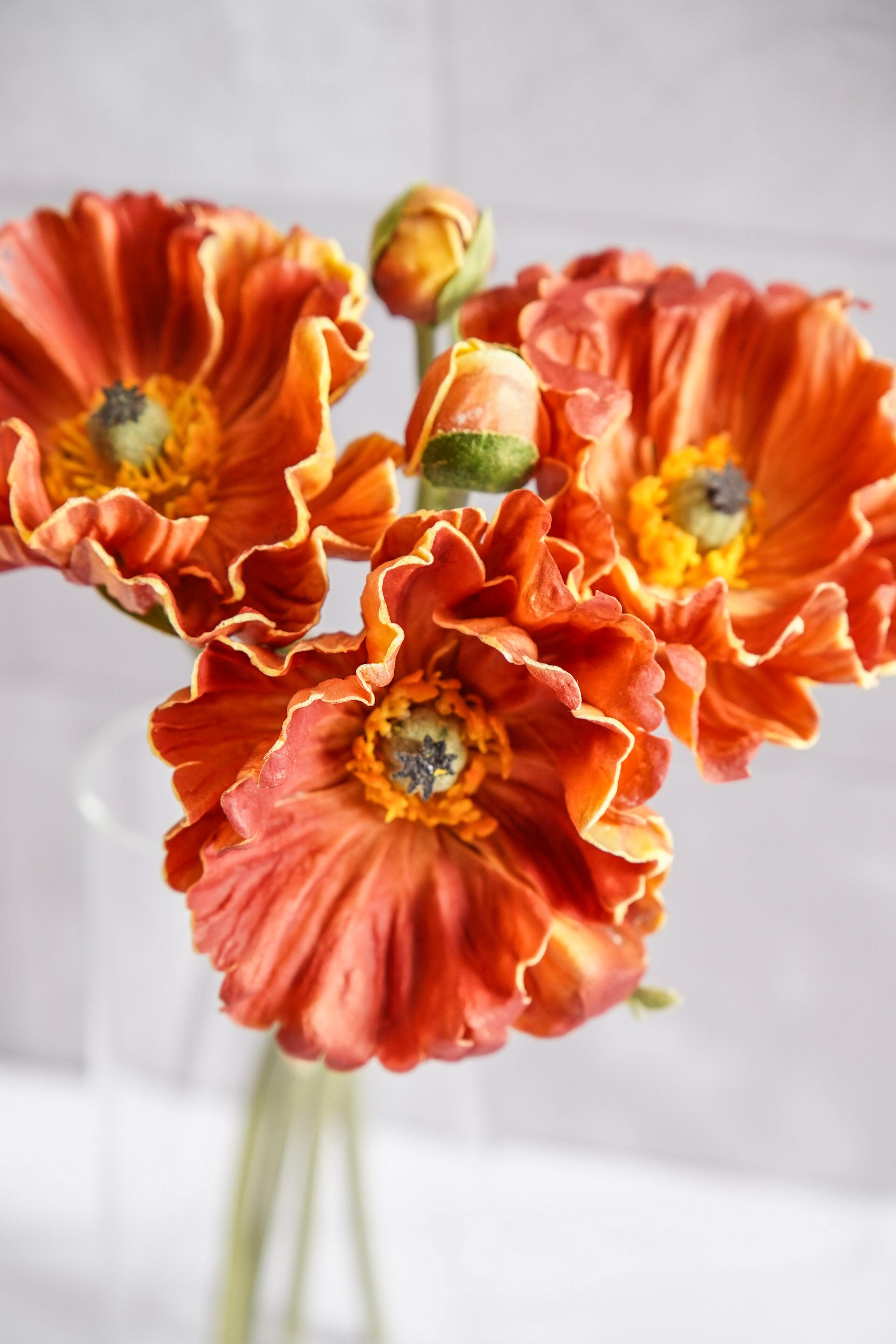 Real Touch Poppy Bundle | Sunrise