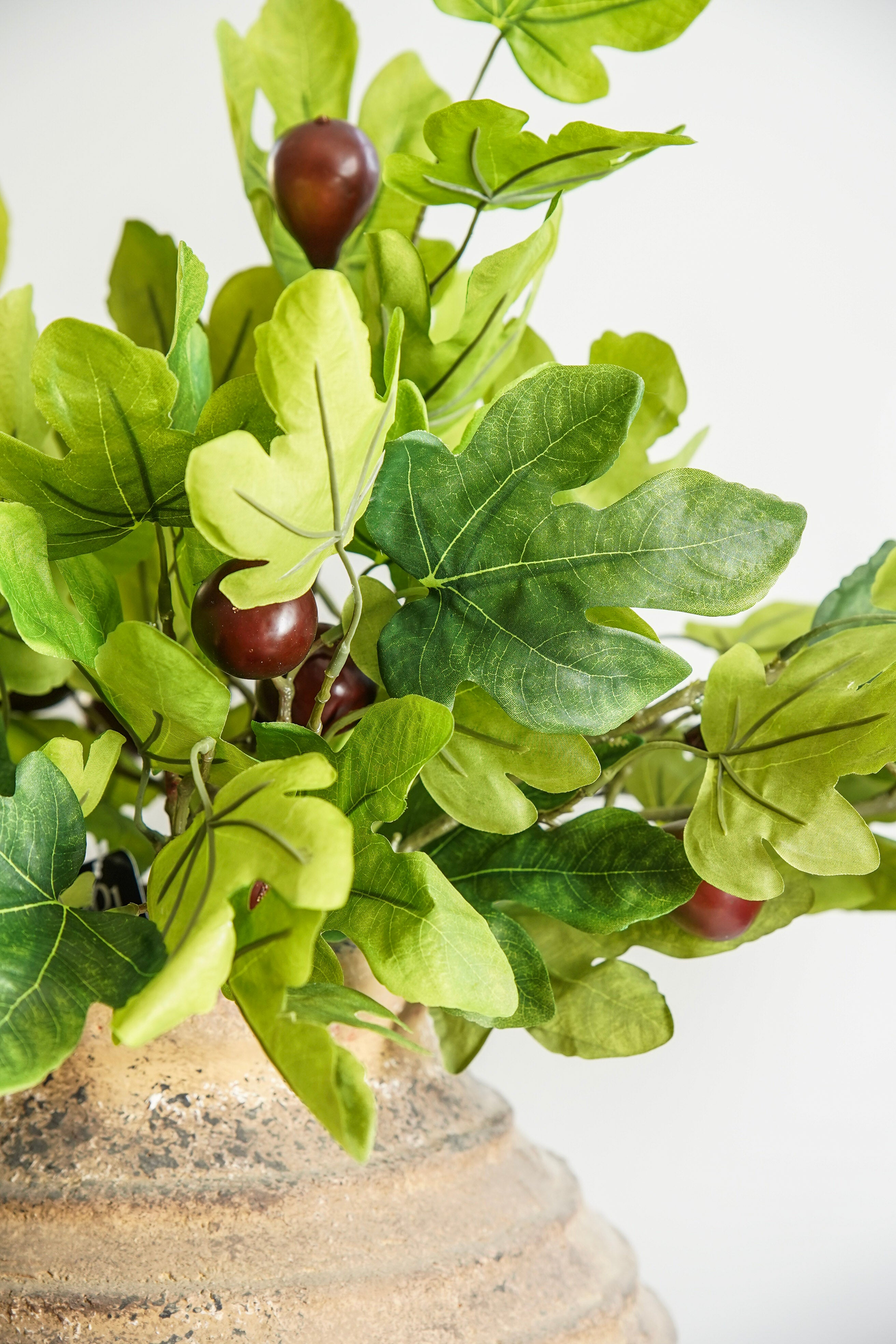 Faux Fig Stem