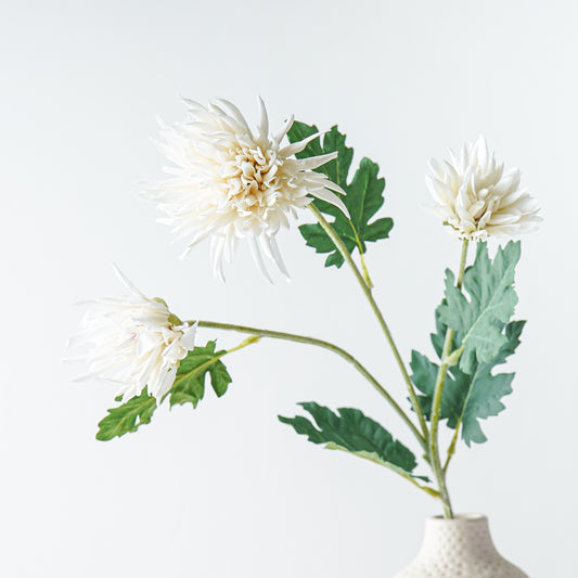Chrysanthemum Stem | Cream