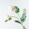 Chrysanthemum Stem | Cream
