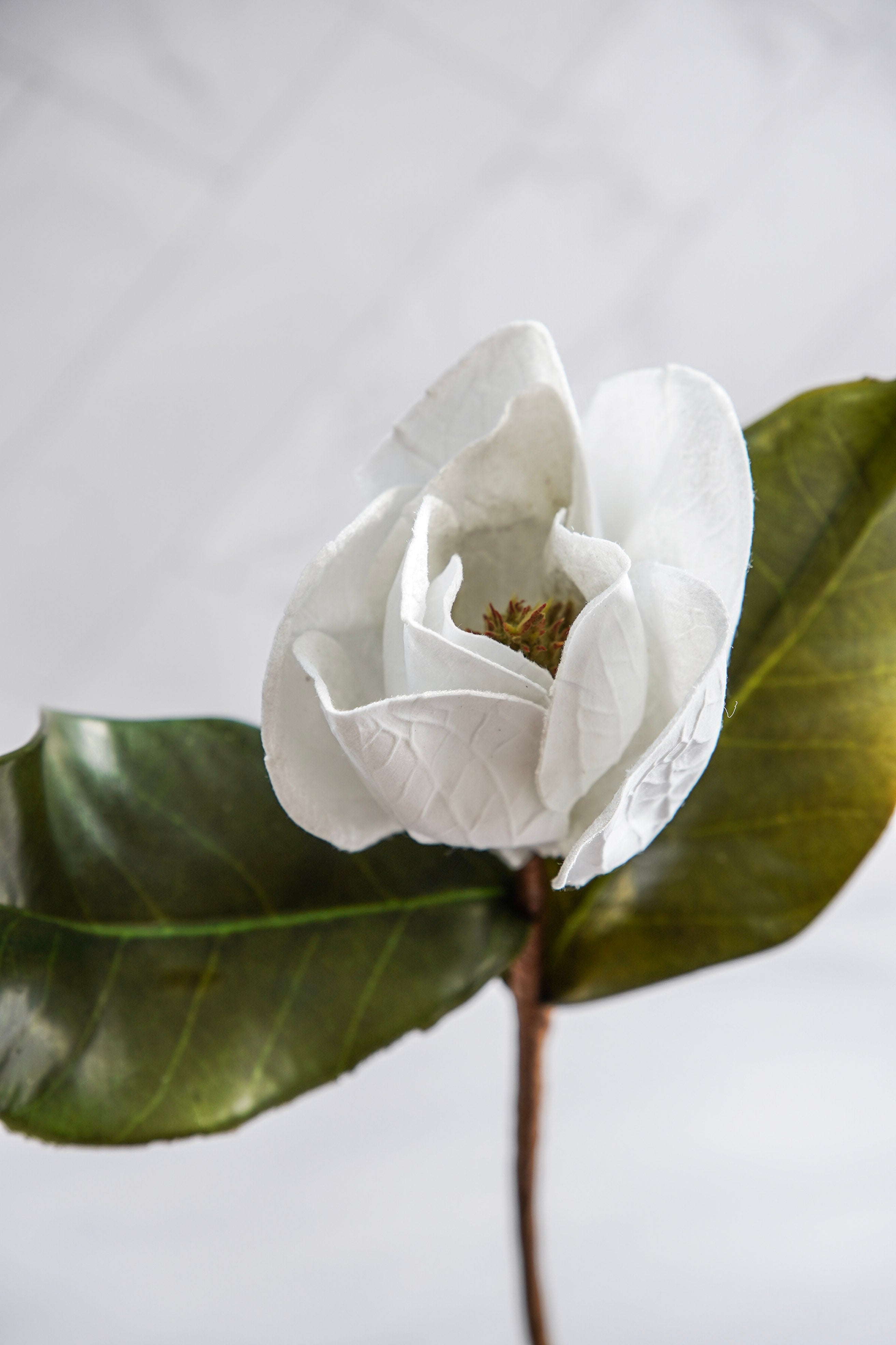 Southern Magnolia Luxe Styled Look