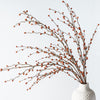 Rustic Fall Berry Stem | 24"