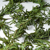Real Touch Blissful Norfolk Pine Garland | 15'