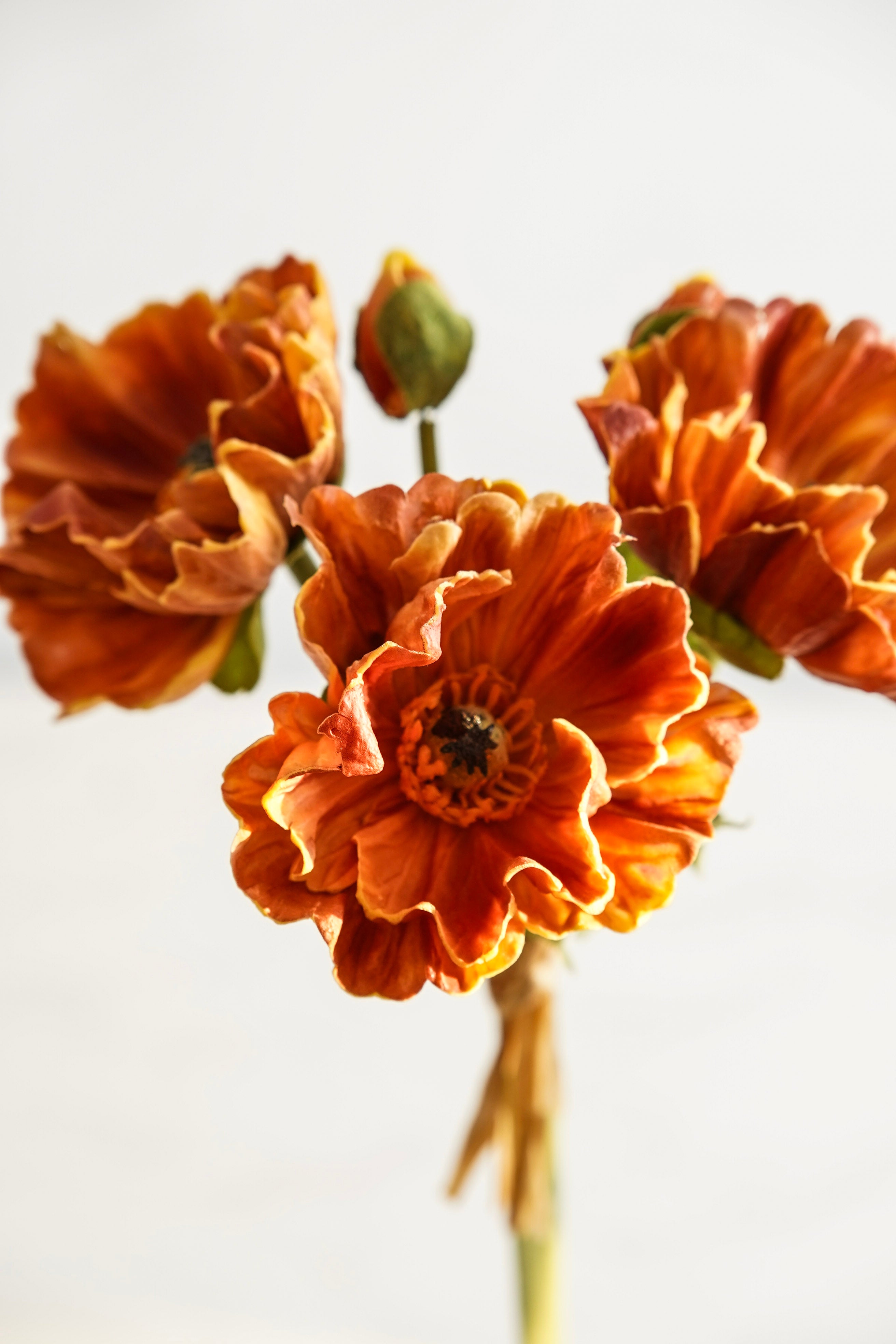 Real Touch Poppy Bundle | Burnt Orange