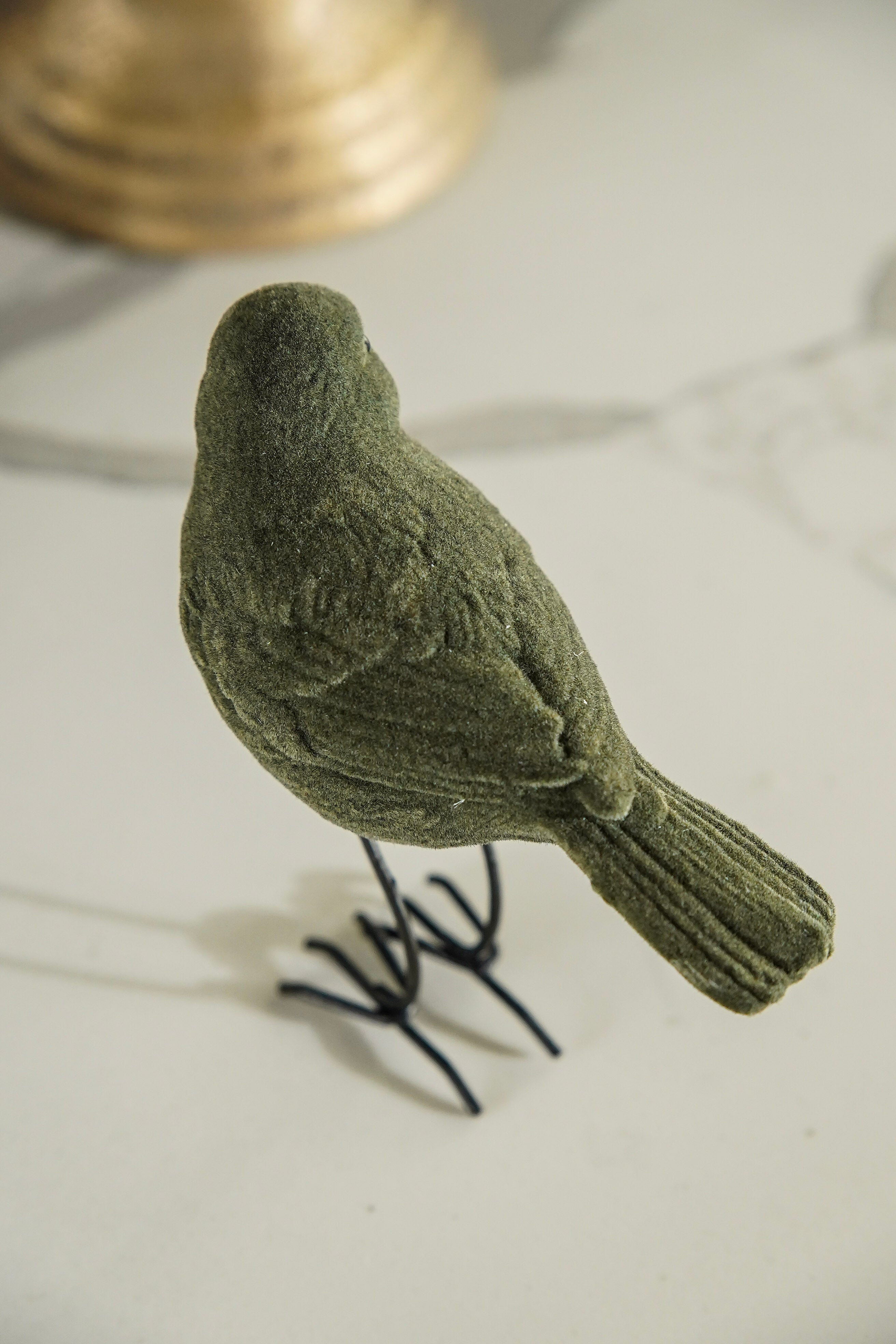 Green Velvet Bird