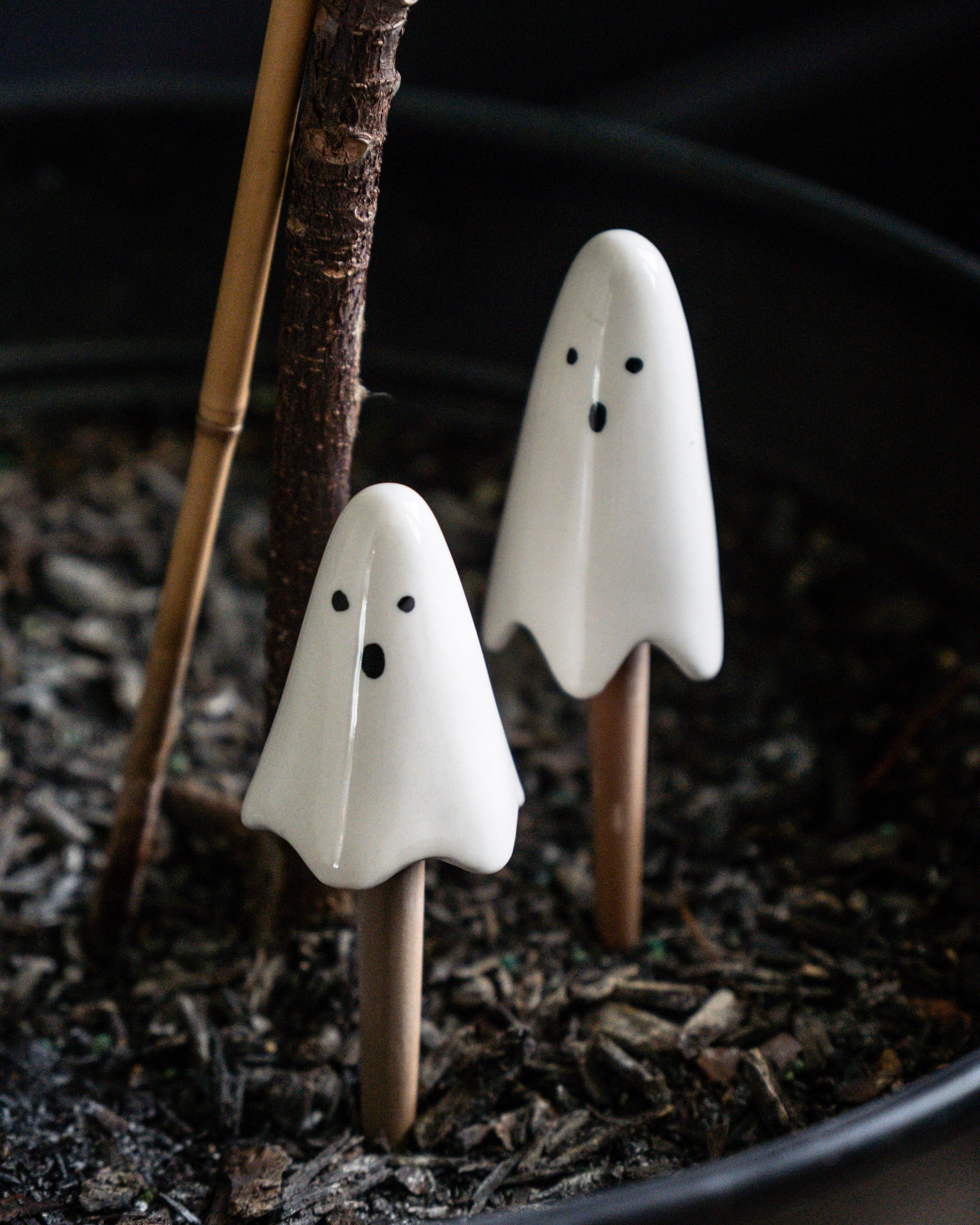 Casper Ceramic Plant Stick Set