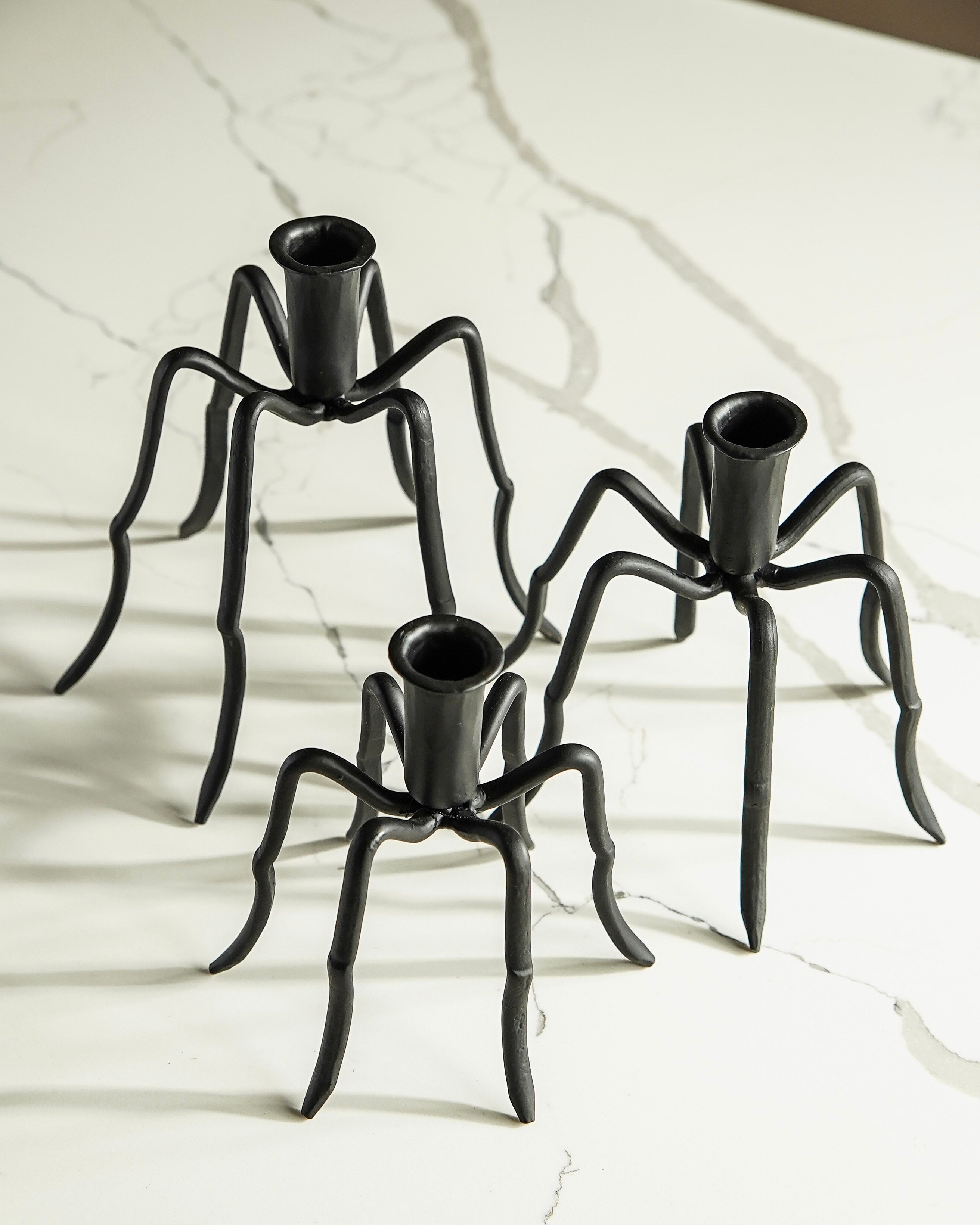 Spider Leg Taper Holder Set