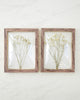 Dried Babies Breath Wall Art Set