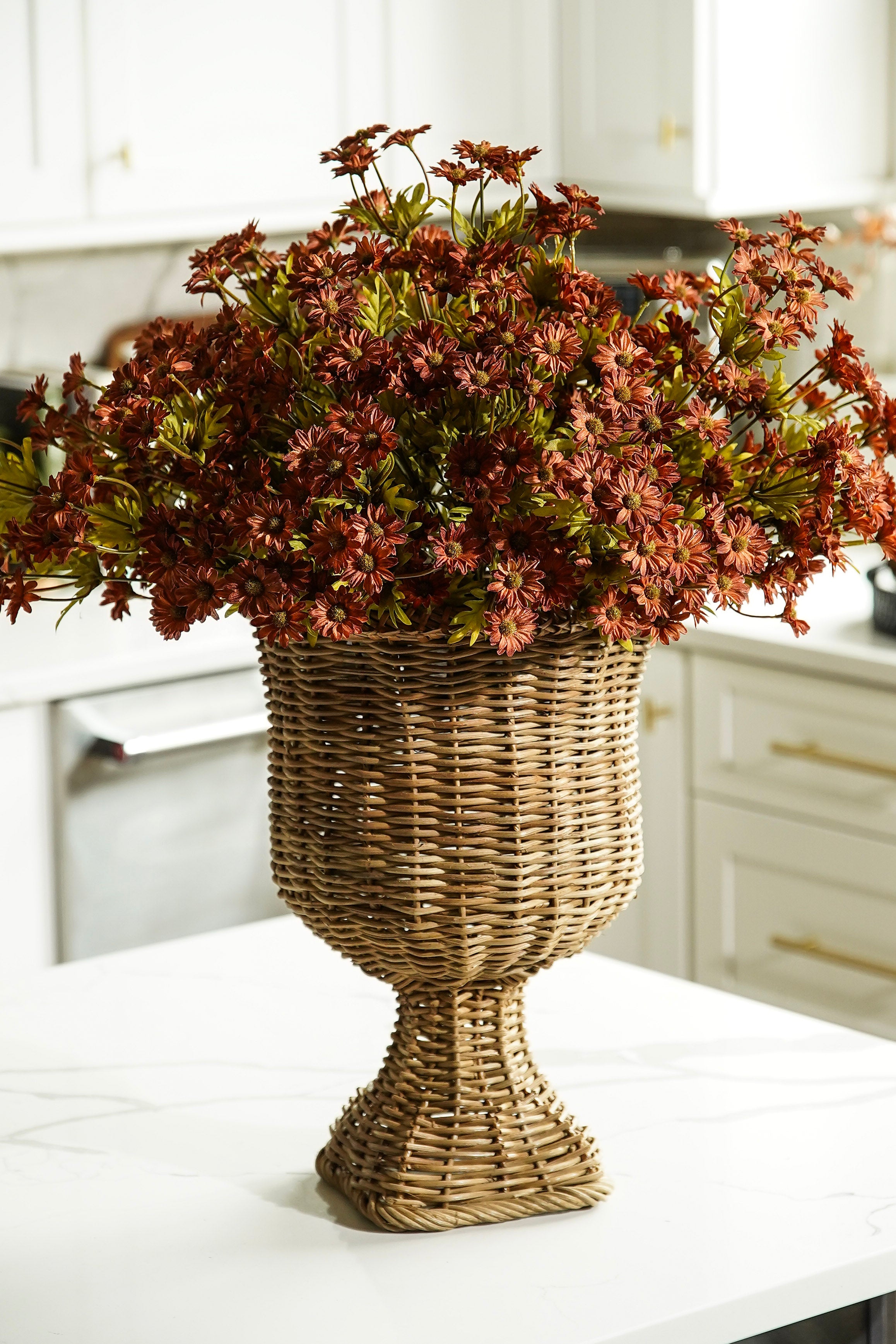 Dark Autumn Mum Bush