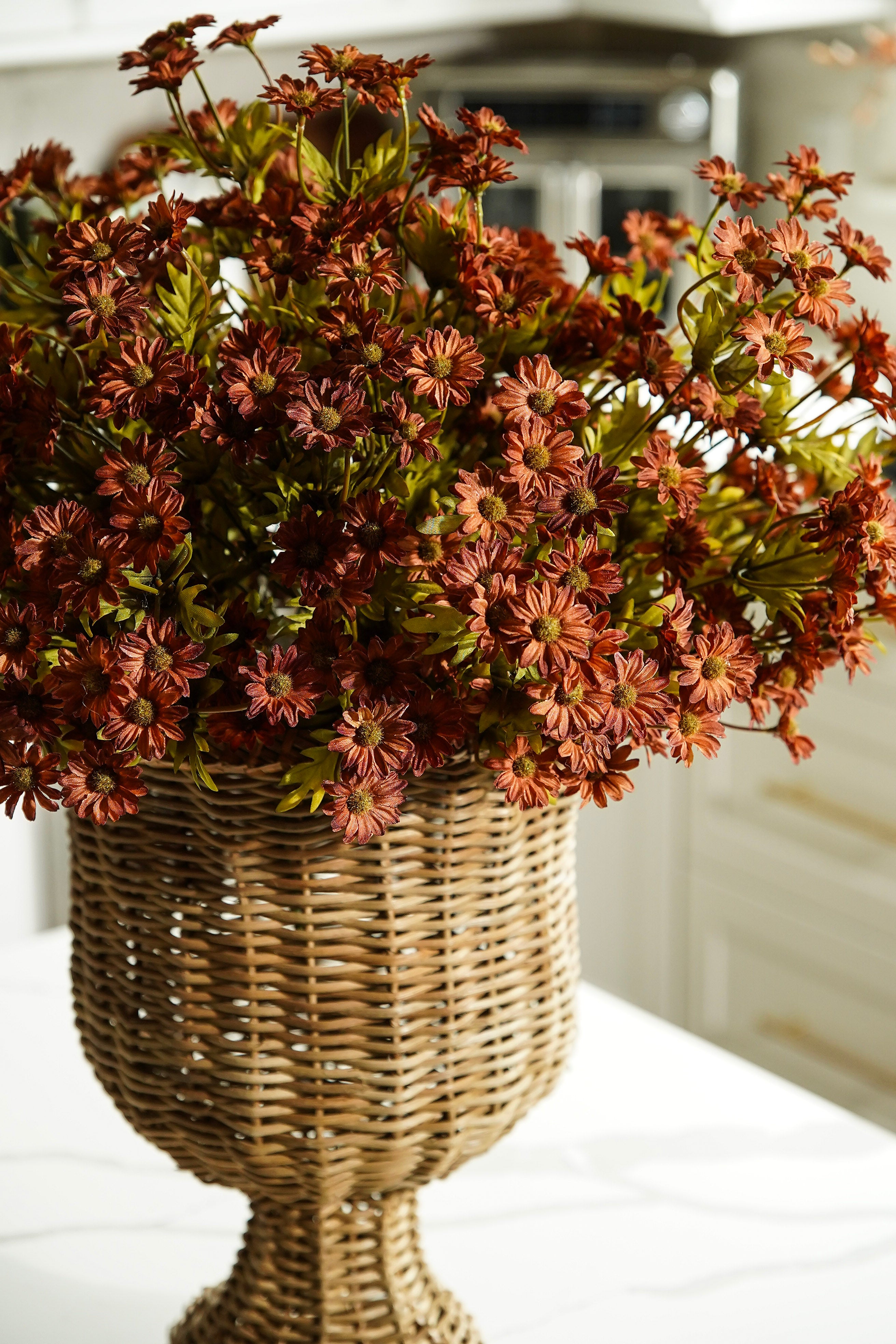 Dark Autumn Mum Bush