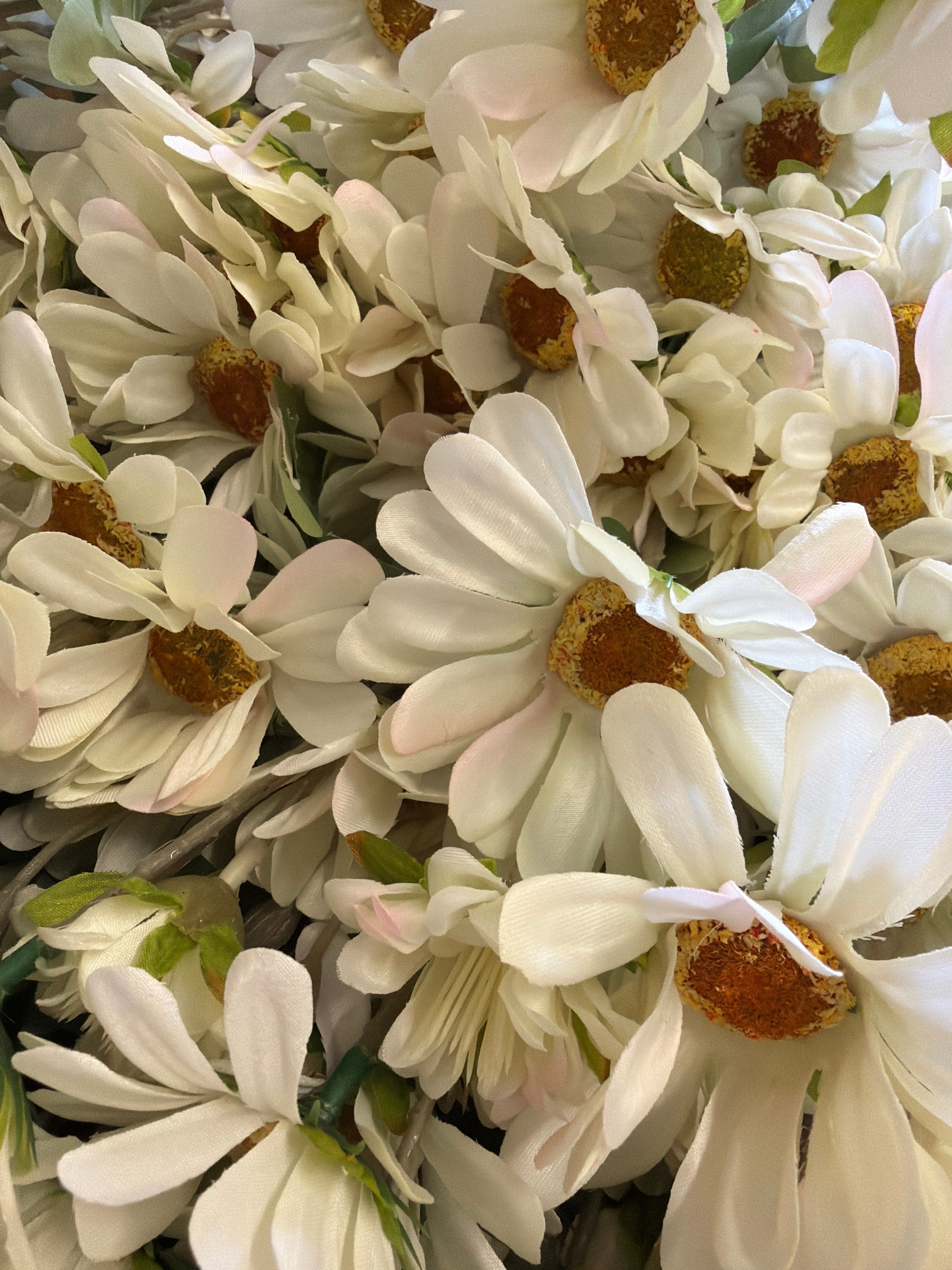 Tully Daisy Stem