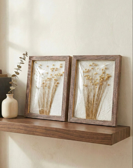 Dried Billy Button Wall Art Set