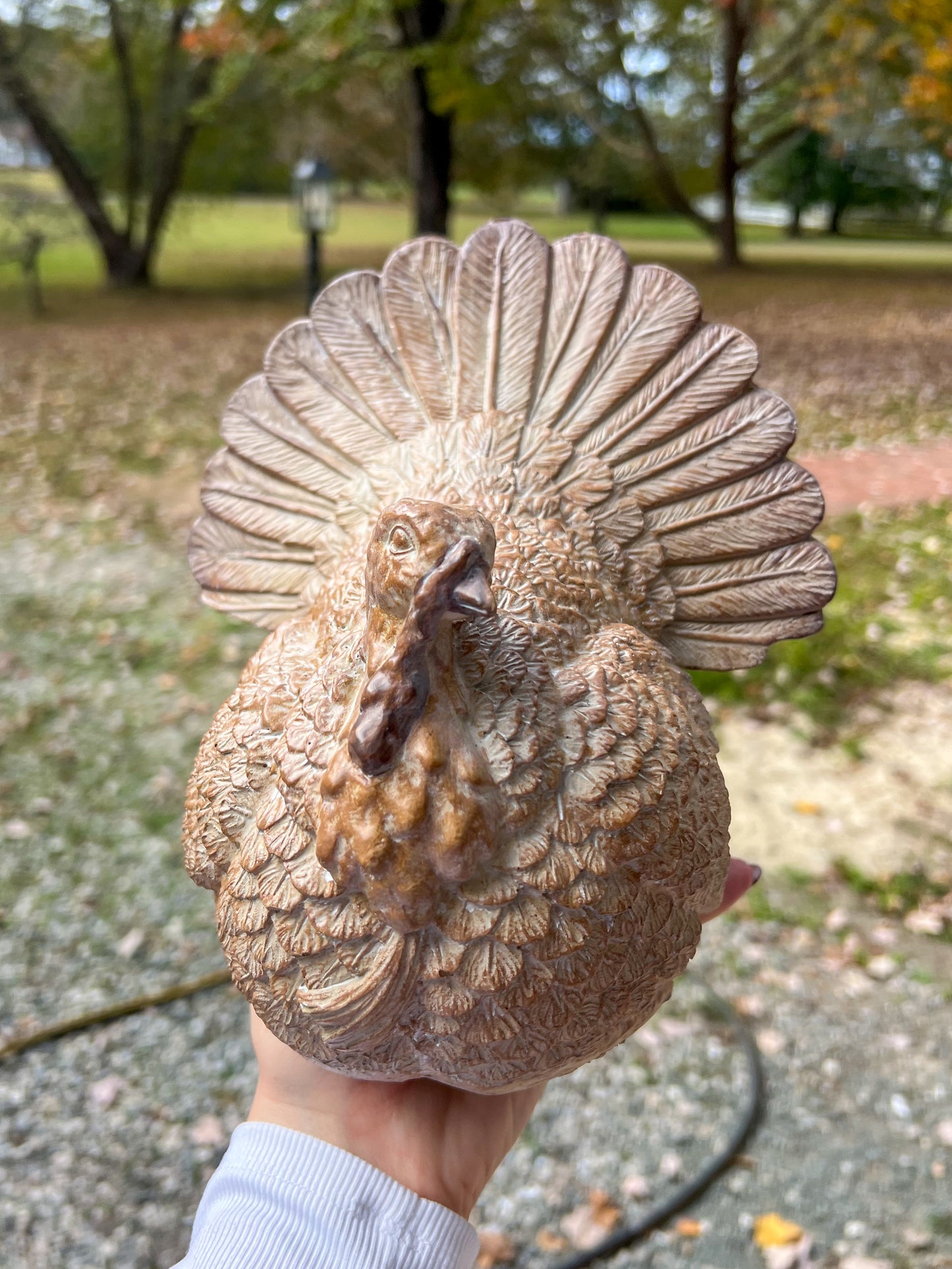 Resin Turkey Accent