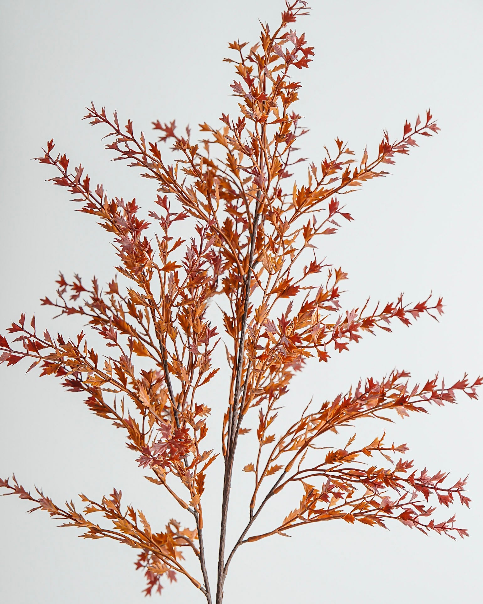 Fiery Leafy Spray