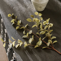 Light Green Eucalyptus Stem | 34"