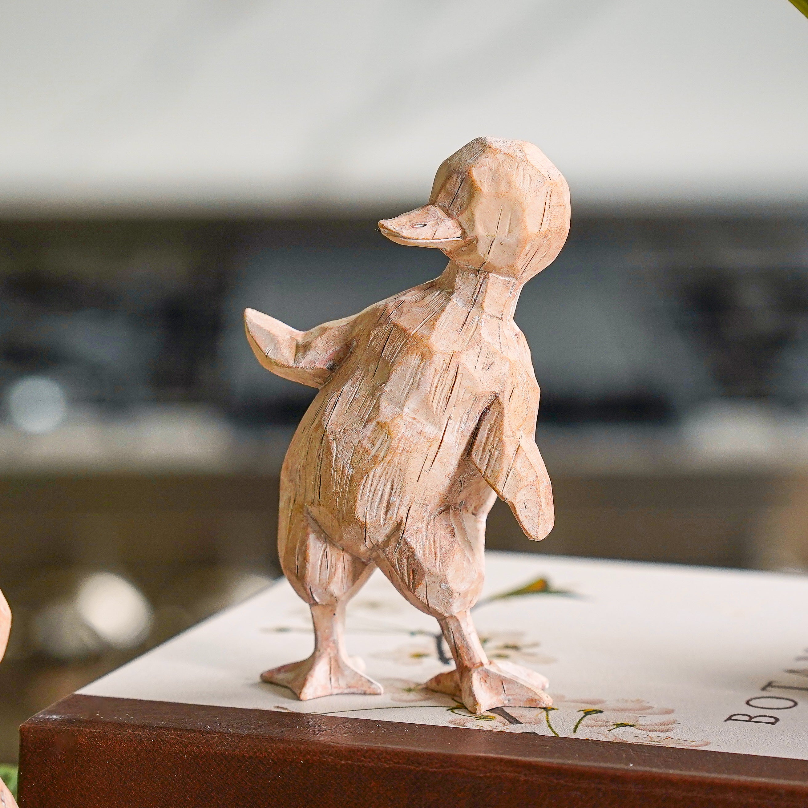 Playful Ducklings Set