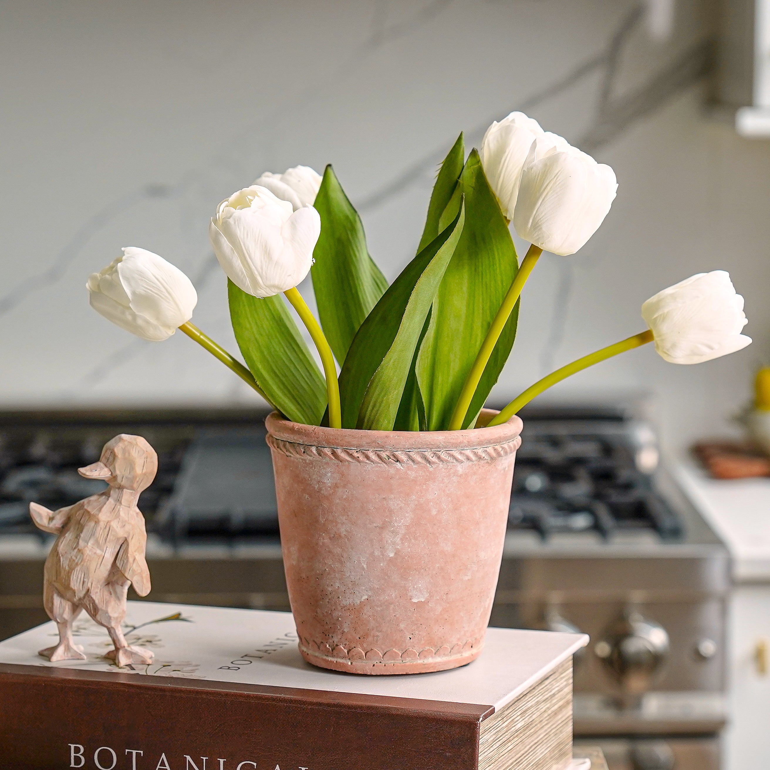 Terra Cotta Planter Set
