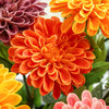 Real Touch Zinnia Bloom | Orange