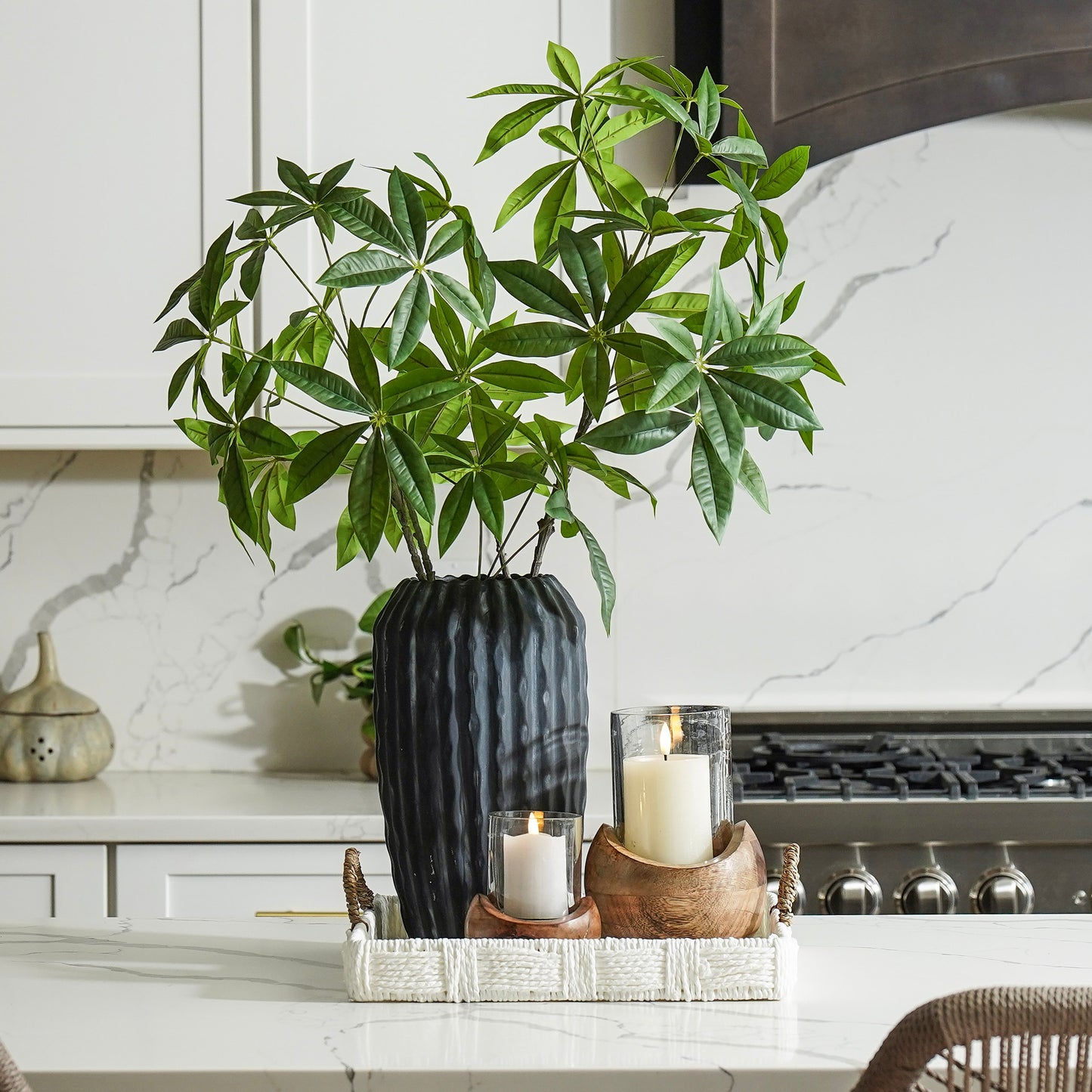 Money Tree Branch