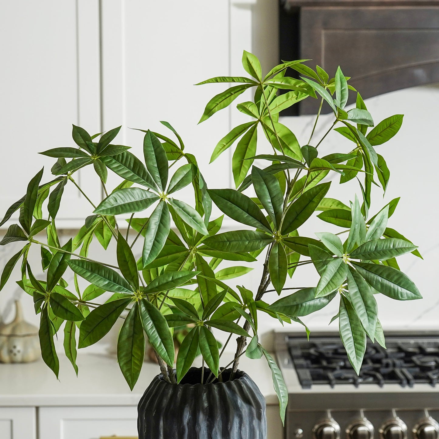 Money Tree Branch