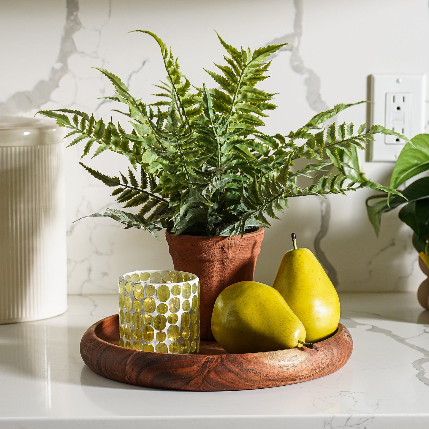 Chloe Potted Fern COMING SOON