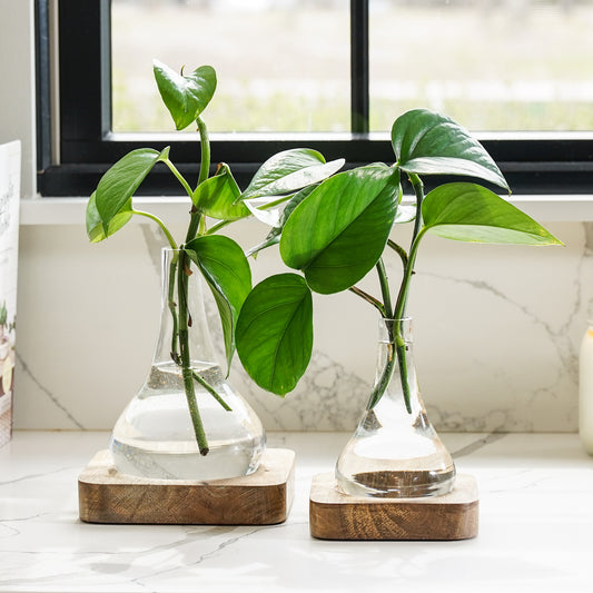 Fable Bud Vase & Base