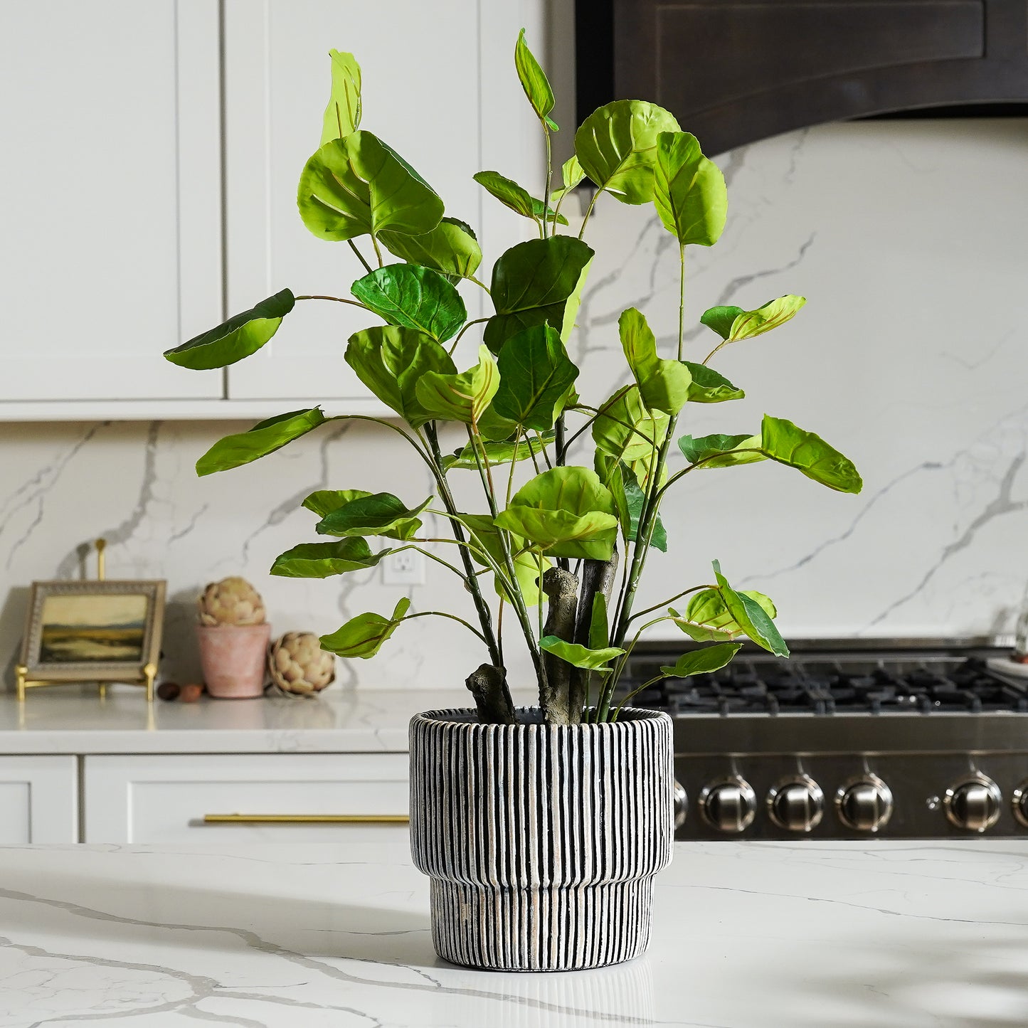Potted Pilea Tree
