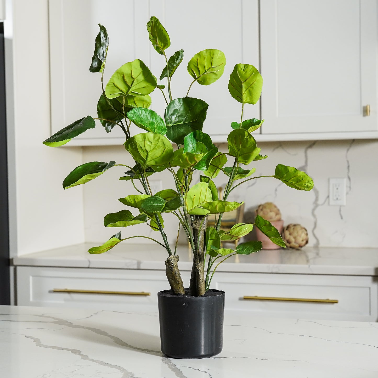 Potted Pilea Tree