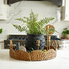 Lilliann Potted Fern