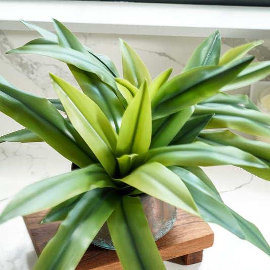 Romilly Real Touch Agave