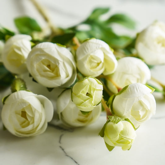 Mini Ranunculus Spray | White