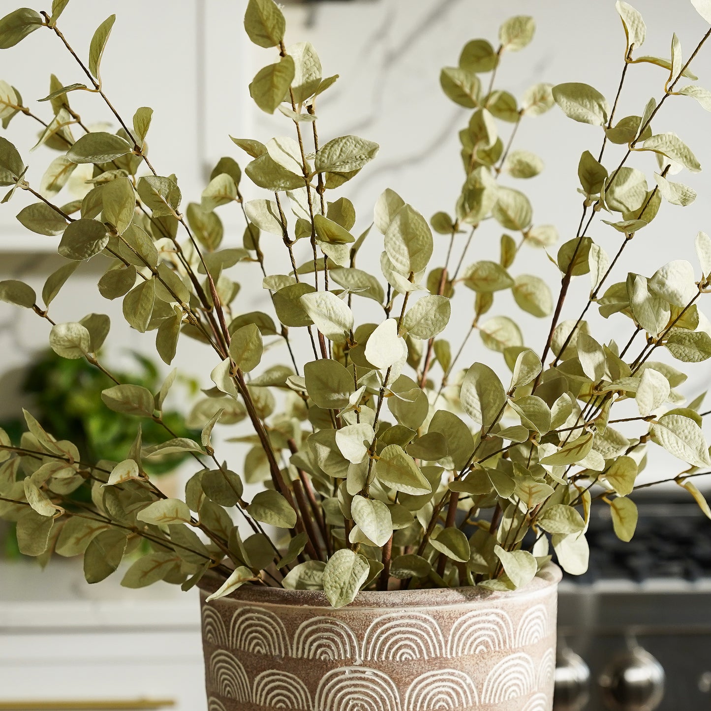Light Green Eucalyptus Stem