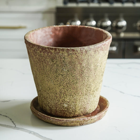 Beau Terra Cotta Planter