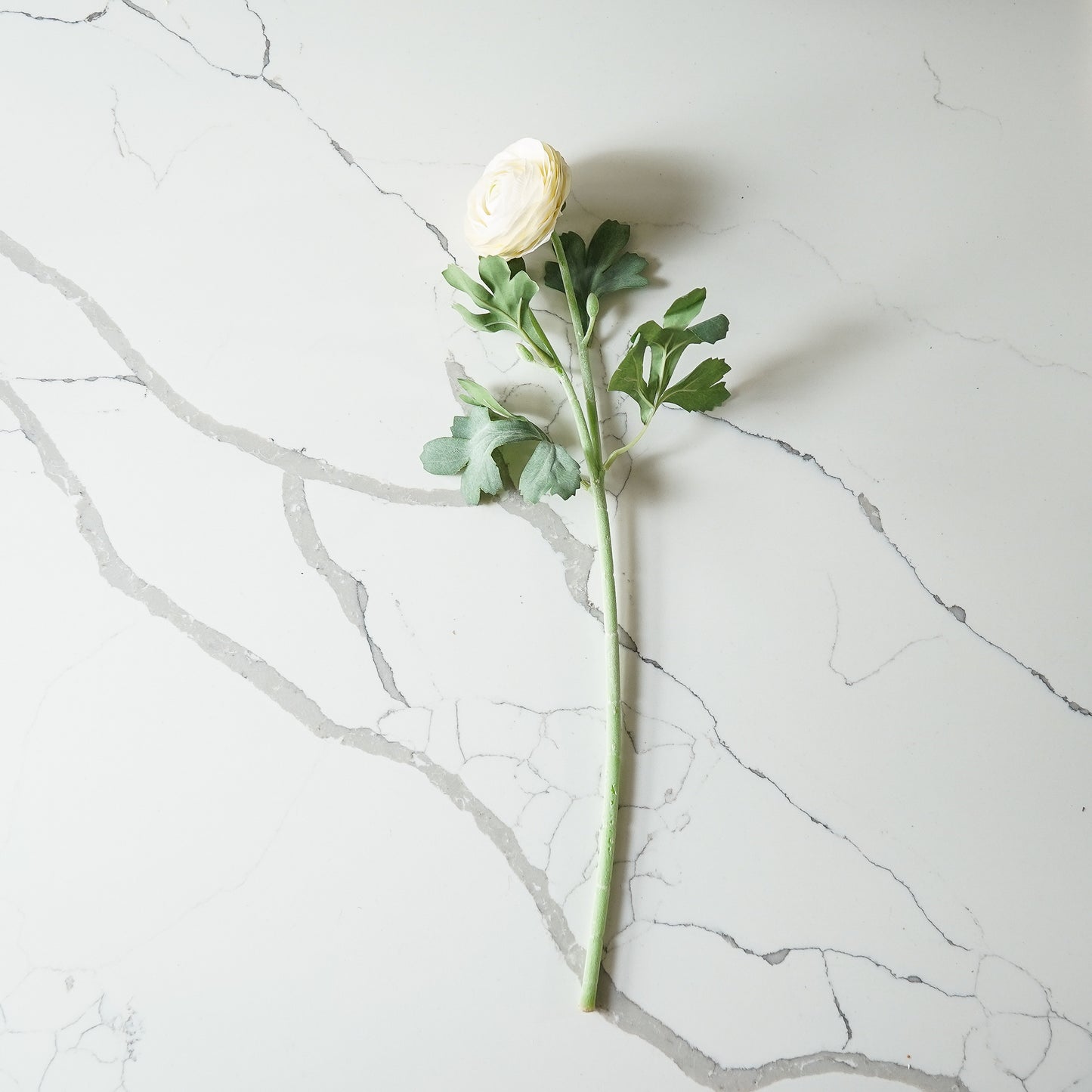 Real Touch Ranunculus Stem | White