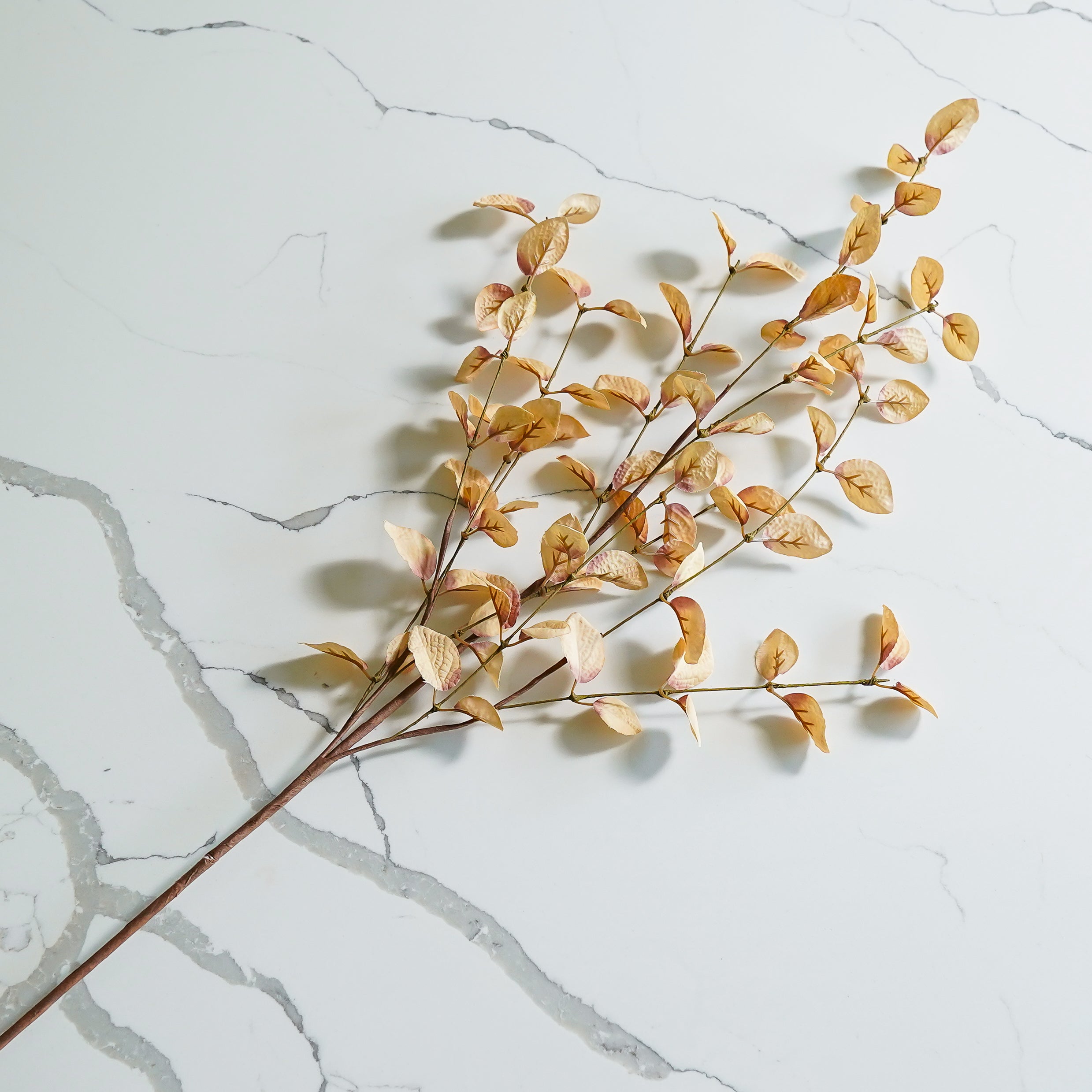 Beige Eucalyptus Stem
