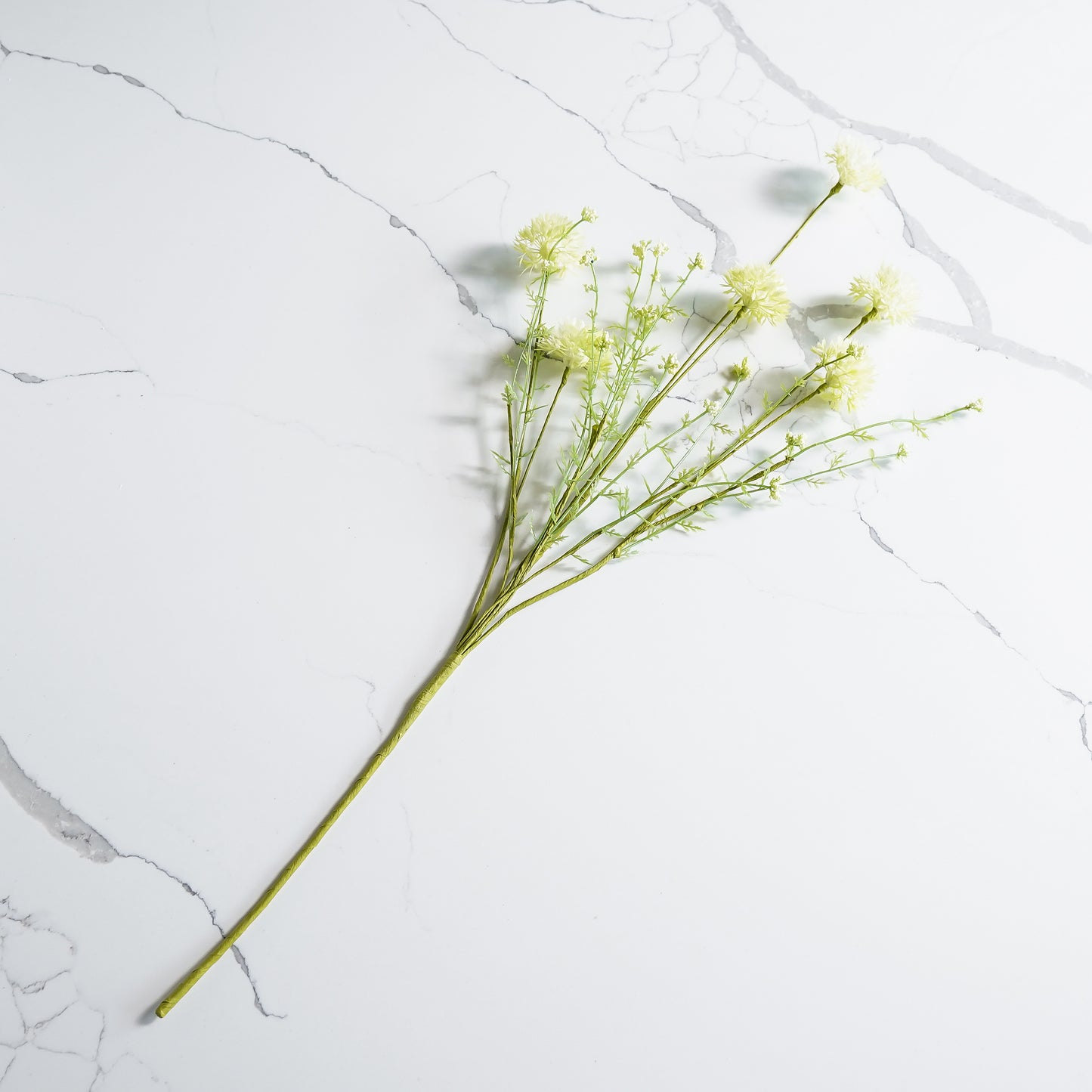 Green Dandelion Spray