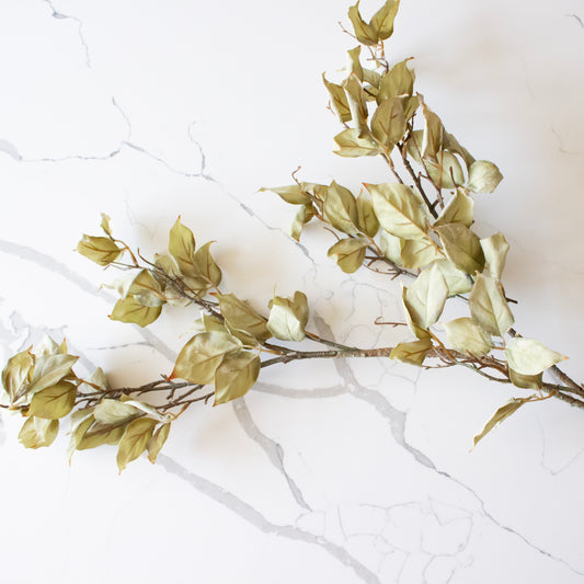 Leaf Branch | Sage